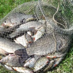 Садок для рыбы