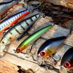 Снасть -  рыба с крючками для ловли хищника