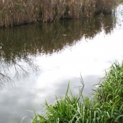 Очень мелкое озеро, где нет больших глубин