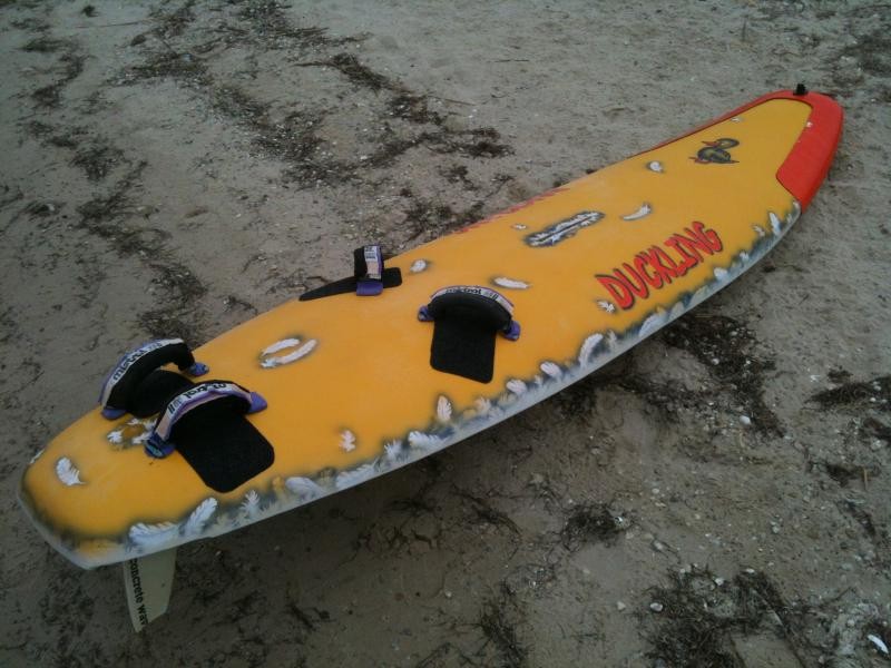 Самодельная доска для виндсерфинга DUCKLING
