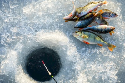 Секреты успешной зимней рыбалки: правила и советы для безопасного и увлекательного опыта